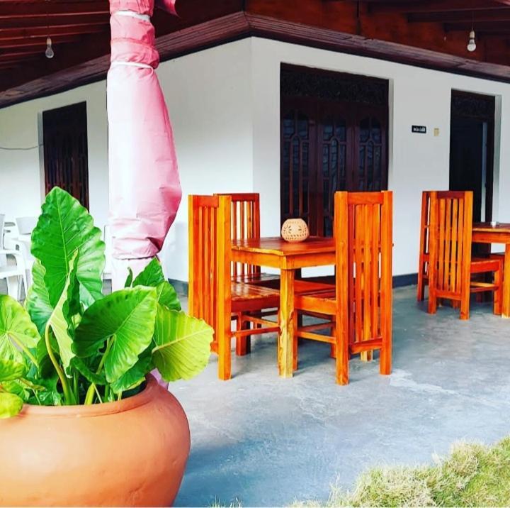 Tharurashmi Sea Pond Villa & Surf Hostel - Hiriketiya Dikwella Eksteriør bilde